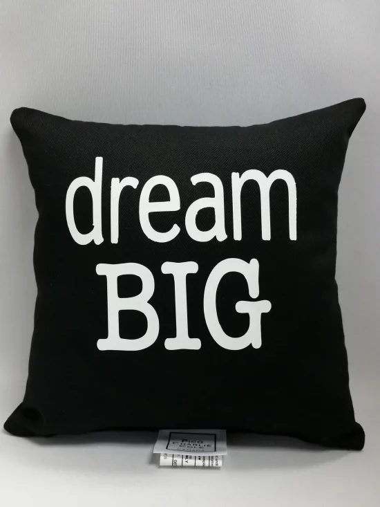 mini dream big pillow jpg image